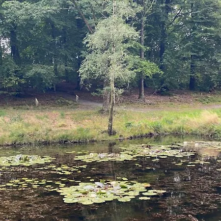 6 Person In Hovborg-by Traum *