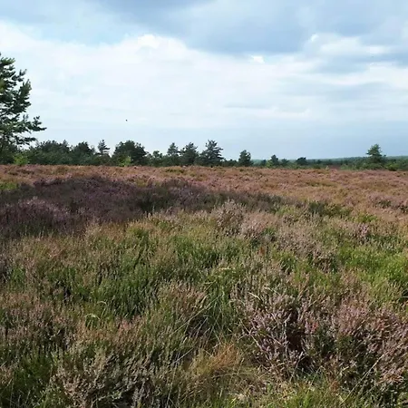 Casa vacanze 6 Person In Hovborg-by Traum Hovborg