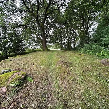 6 Person In Hovborg-by Traum * Hovborg