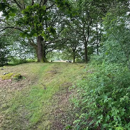 Casa vacanze 6 Person In Hovborg-by Traum Hovborg