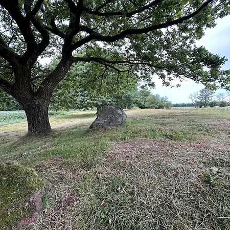 6 Person In Hovborg-by Traum *